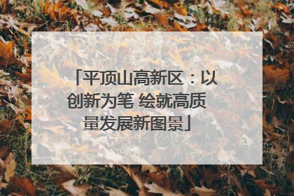 平顶山高新区：以创新为笔 绘就高质量发展新图景